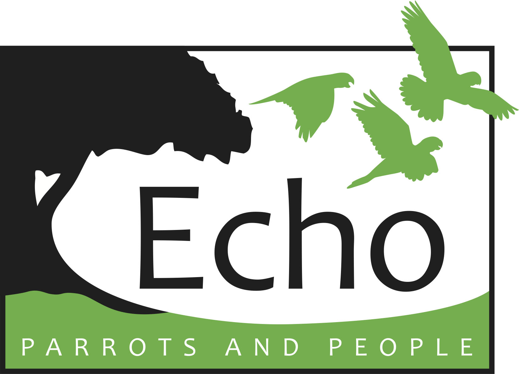 echo - Caribbean Islands Maps and Guides